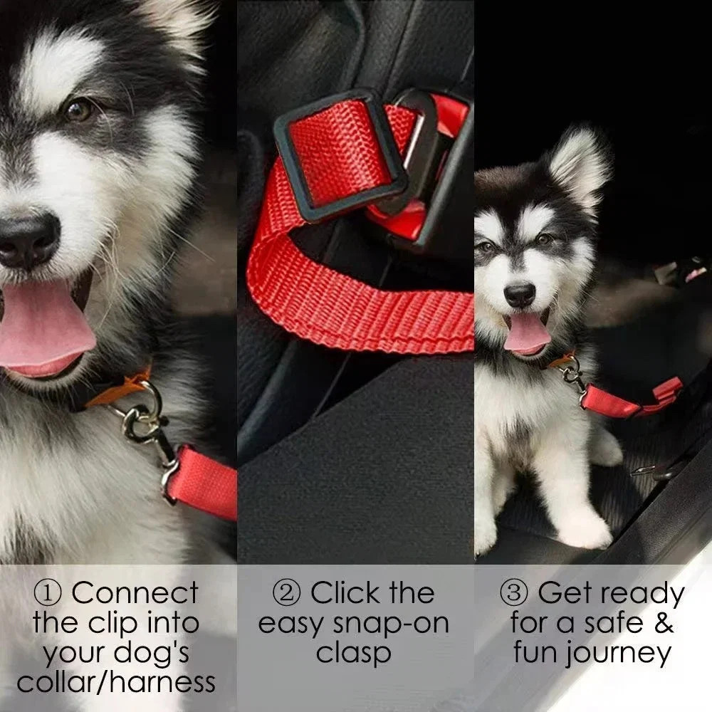 adjustable-dog-seat-belt-41190912_3.jpg